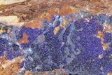 Azurite and Malachite Association on Matrix - Morocco #217778-1